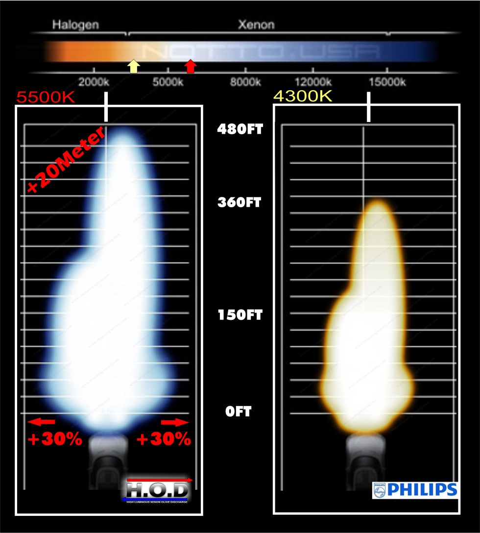 Ampoule HOD